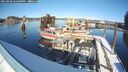 ./images/quadra/hbidock/20250206/hbidock20250206_142008M.jpg