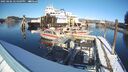 ./images/quadra/hbidock/20250206/hbidock20250206_144509M.jpg