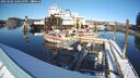 ./images/quadra/hbidock/20250206/hbidock20250206_150010M.jpg