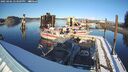 ./images/quadra/hbidock/20250206/hbidock20250206_153009M.jpg