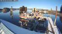 ./images/quadra/hbidock/20250206/hbidock20250206_155000M.jpg
