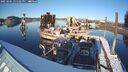 ./images/quadra/hbidock/20250206/hbidock20250206_155505M.jpg