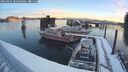 ./images/quadra/hbidock/20250207/hbidock20250207_080507M.jpg