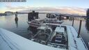 ./images/quadra/hbidock/20250208/hbidock20250208_081010M.jpg