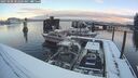 ./images/quadra/hbidock/20250208/hbidock20250208_082009M.jpg