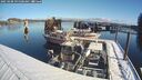 ./images/quadra/hbidock/20250208/hbidock20250208_095500M.jpg