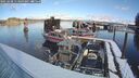 ./images/quadra/hbidock/20250208/hbidock20250208_113009M.jpg