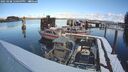 ./images/quadra/hbidock/20250208/hbidock20250208_120509M.jpg