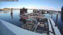 ./images/quadra/hbidock/20250208/hbidock20250208_121010M.jpg