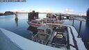 ./images/quadra/hbidock/20250208/hbidock20250208_121500M.jpg