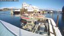 ./images/quadra/hbidock/20250208/hbidock20250208_124008M.jpg