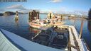 ./images/quadra/hbidock/20250208/hbidock20250208_154009M.jpg