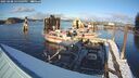 ./images/quadra/hbidock/20250208/hbidock20250208_155009M.jpg