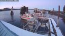 ./images/quadra/hbidock/20250208/hbidock20250208_174509M.jpg