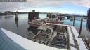 ./images/quadra/hbidock/20250209/hbidock20250209_093500M.jpg