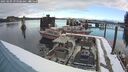 ./images/quadra/hbidock/20250209/hbidock20250209_093509M.jpg