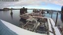 ./images/quadra/hbidock/20250209/hbidock20250209_094508M.jpg