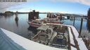 ./images/quadra/hbidock/20250209/hbidock20250209_101007M.jpg