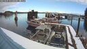 ./images/quadra/hbidock/20250209/hbidock20250209_101508M.jpg