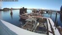 ./images/quadra/hbidock/20250209/hbidock20250209_104509M.jpg