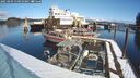 ./images/quadra/hbidock/20250209/hbidock20250209_110010M.jpg