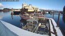 ./images/quadra/hbidock/20250209/hbidock20250209_110509M.jpg