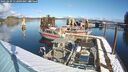 ./images/quadra/hbidock/20250209/hbidock20250209_112009M.jpg