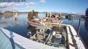 ./images/quadra/hbidock/20250209/hbidock20250209_113009M.jpg