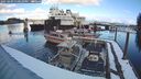 ./images/quadra/hbidock/20250209/hbidock20250209_130010M.jpg