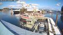 ./images/quadra/hbidock/20250209/hbidock20250209_132009M.jpg