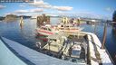 ./images/quadra/hbidock/20250209/hbidock20250209_132509M.jpg