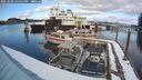./images/quadra/hbidock/20250209/hbidock20250209_150000M.jpg