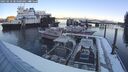 ./images/quadra/hbidock/20250210/hbidock20250210_084000M.jpg