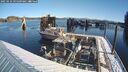 ./images/quadra/hbidock/20250210/hbidock20250210_095009M.jpg