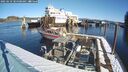 ./images/quadra/hbidock/20250210/hbidock20250210_104508M.jpg