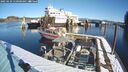 ./images/quadra/hbidock/20250210/hbidock20250210_110500M.jpg