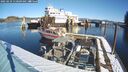 ./images/quadra/hbidock/20250210/hbidock20250210_110509M.jpg