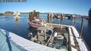 ./images/quadra/hbidock/20250210/hbidock20250210_111000M.jpg