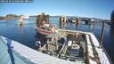 ./images/quadra/hbidock/20250210/hbidock20250210_111009M.jpg