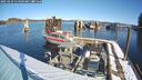 ./images/quadra/hbidock/20250210/hbidock20250210_114009M.jpg