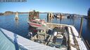 ./images/quadra/hbidock/20250210/hbidock20250210_114500M.jpg