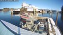 ./images/quadra/hbidock/20250210/hbidock20250210_123508M.jpg