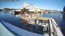 ./images/quadra/hbidock/20250210/hbidock20250210_145001M.jpg