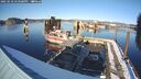 ./images/quadra/hbidock/20250210/hbidock20250210_153509M.jpg