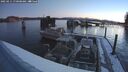 ./images/quadra/hbidock/20250211/hbidock20250211_070508M.jpg