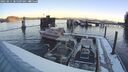 ./images/quadra/hbidock/20250211/hbidock20250211_081009M.jpg