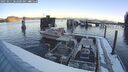 ./images/quadra/hbidock/20250211/hbidock20250211_082500M.jpg