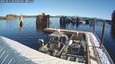 ./images/quadra/hbidock/20250211/hbidock20250211_095000M.jpg