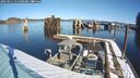 ./images/quadra/hbidock/20250211/hbidock20250211_111008M.jpg