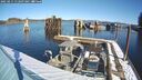 ./images/quadra/hbidock/20250211/hbidock20250211_112507M.jpg